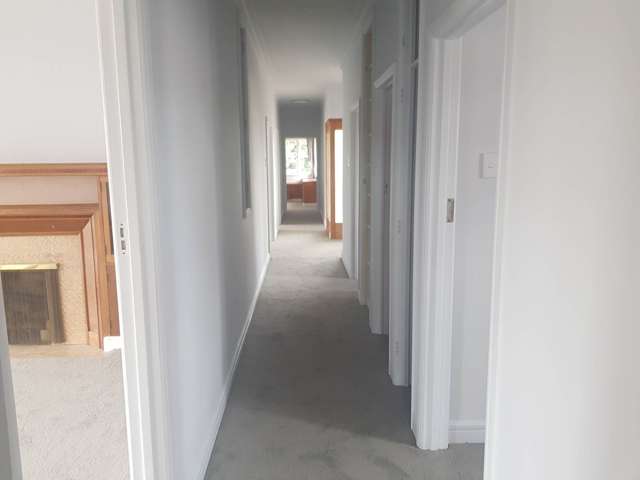 8 Zealandia Street Kensington_4