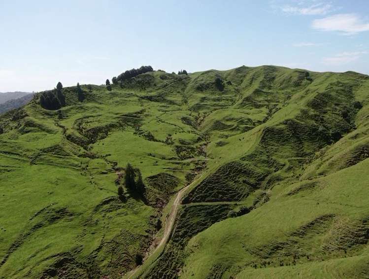 167 Whenuakura Road Waimiha-Ongarue_18