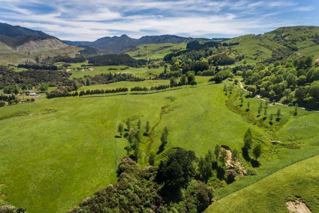 1127 Glenross Waiwhare_3