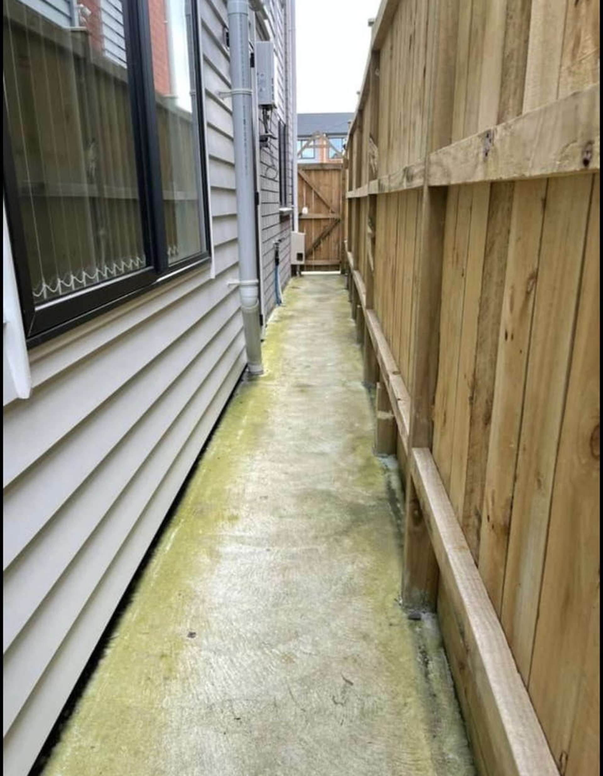 56 Donegal Park Drive Flat Bush_0