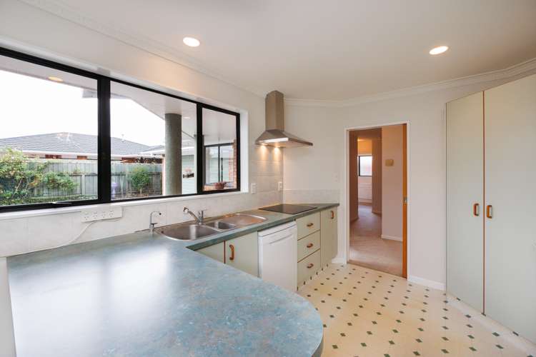 48a Albert Street Palmerston North Central_6