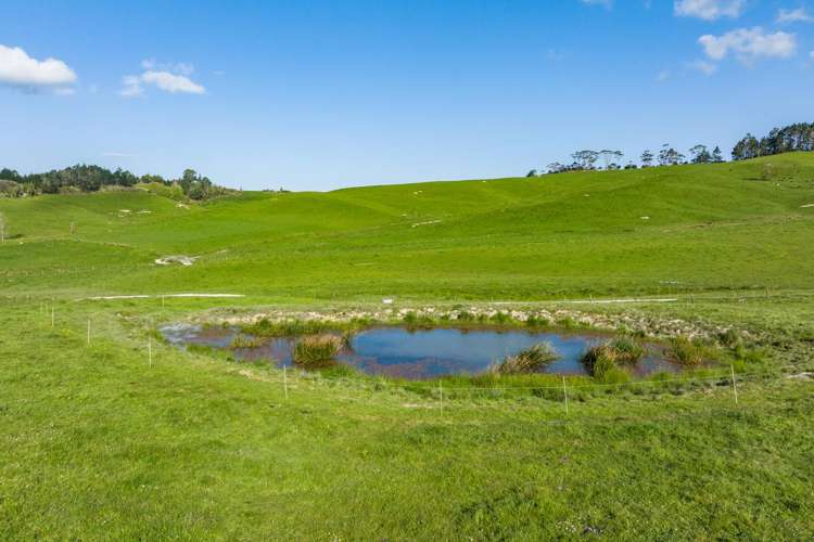 52 Gillon Road Matakohe_14