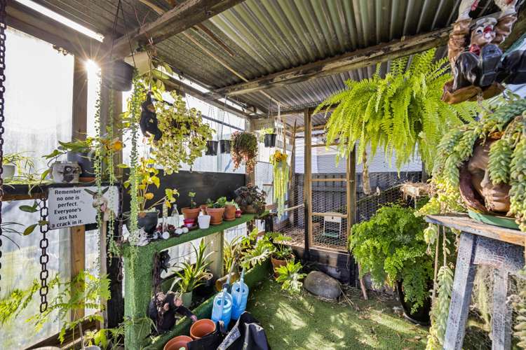 77 Patu-kukupa Street Manaia_24