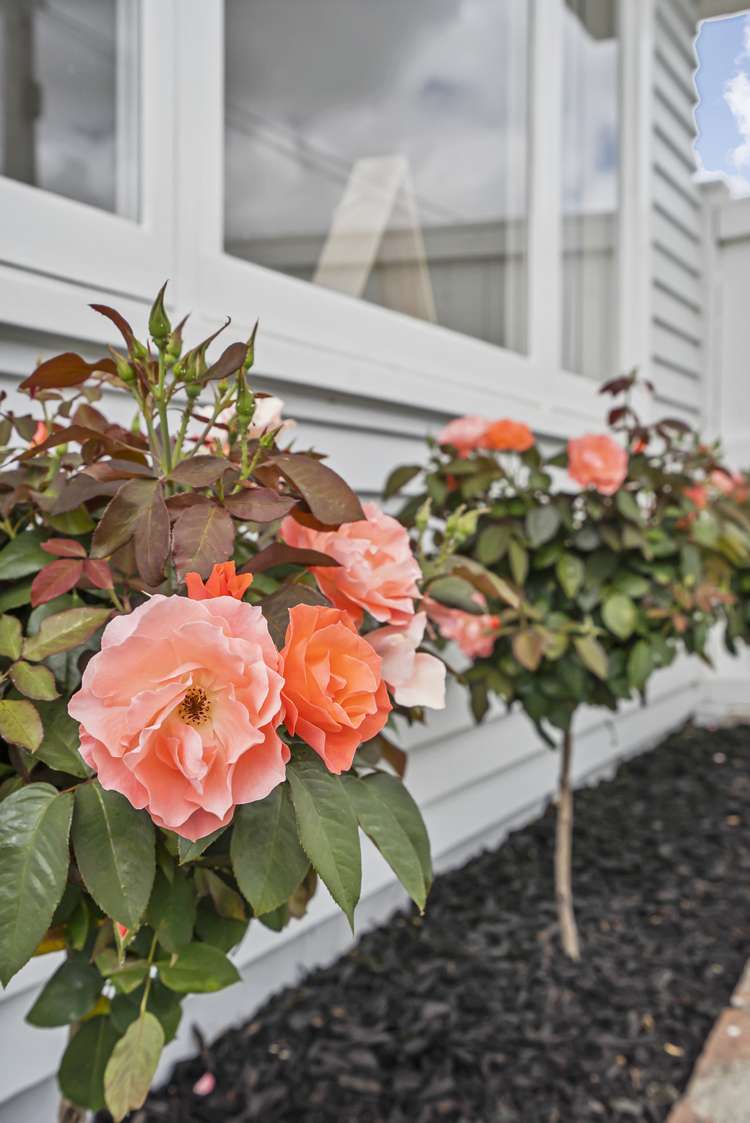 1/43 Salisbury Road Birkdale_14