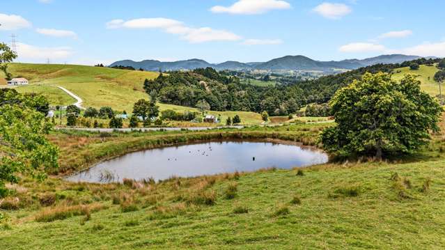 Buy One or Buy Both !