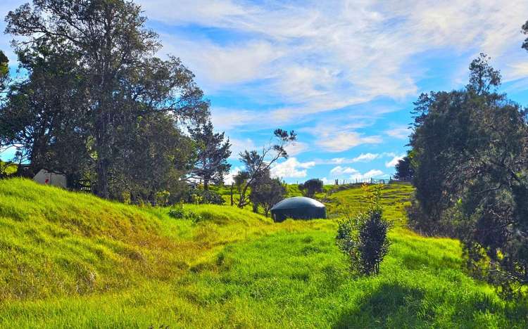 Lot lot 2 Koutu Loop Road Opononi_18