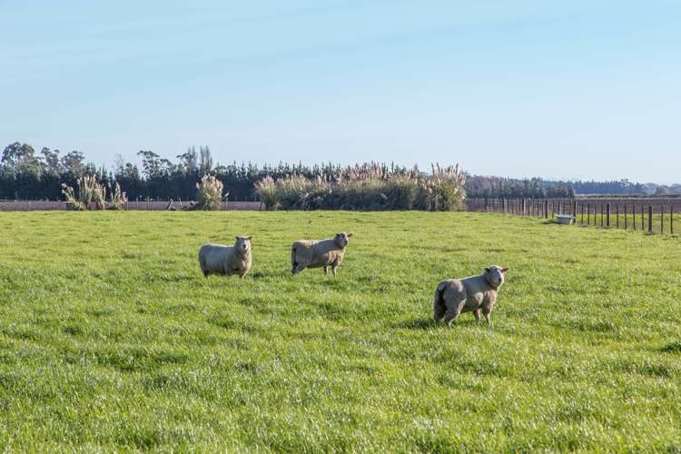 238 Wabys Road Southbridge_18