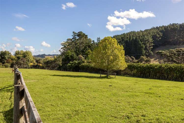883 Peak Road Waimauku_9