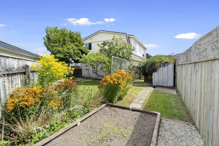 3c Boulcott Street Boulcott_14