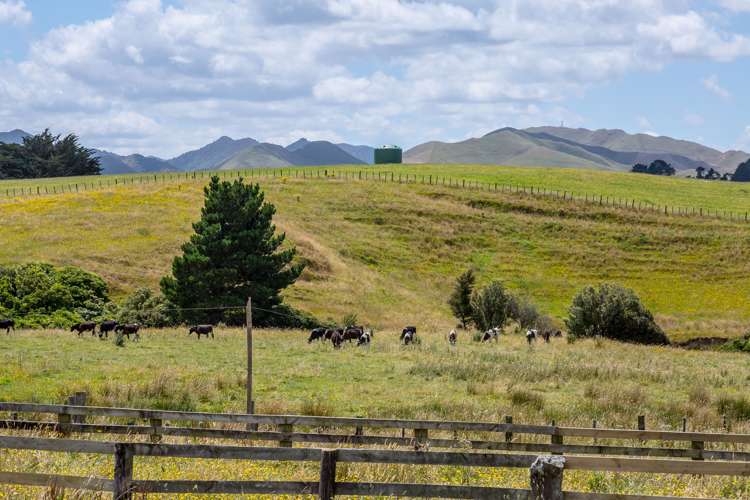 812 Laws Road Dannevirke_6