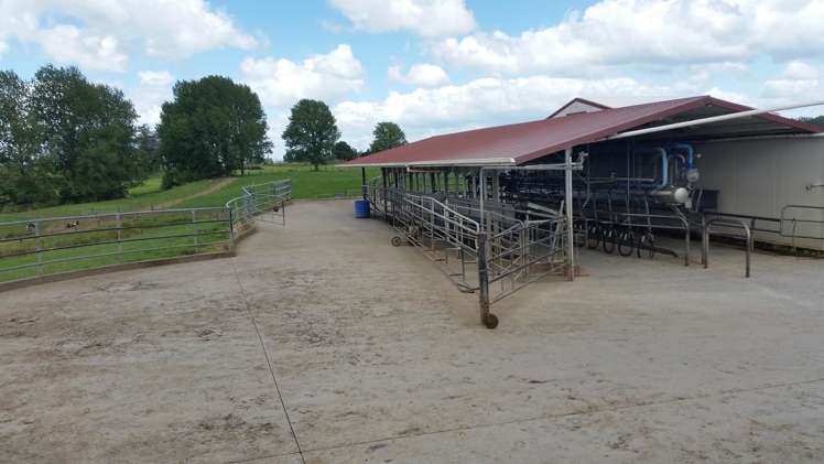 851 Hutchinson Road Morrinsville_3