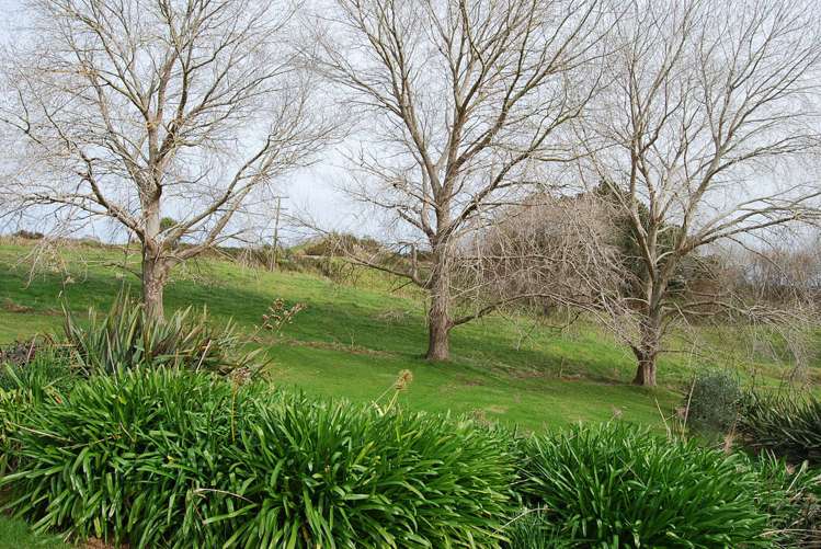 924 Oneriri Road Kaiwaka_8