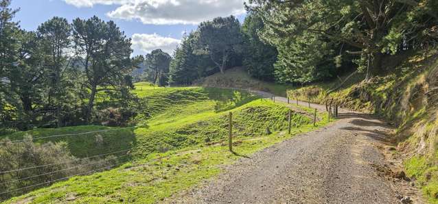 294b Dods Road Waikite Valley_2