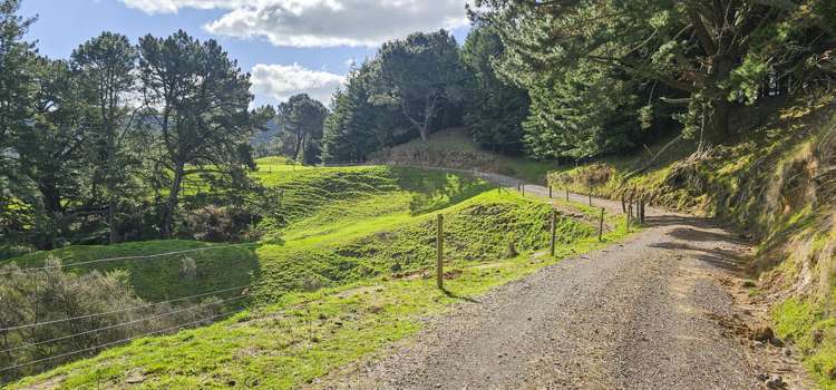 294b Dods Road Waikite Valley_2