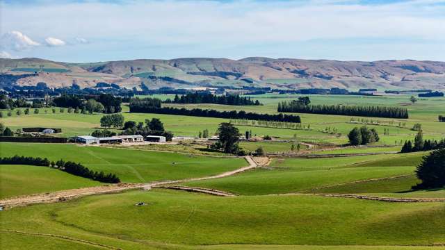 630 Clydevale Road Ashley Downs_4