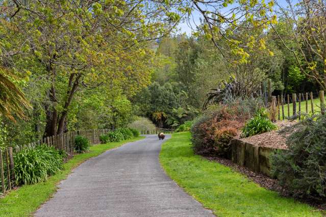 135E(a) McLaren Falls Road Omanawa_2