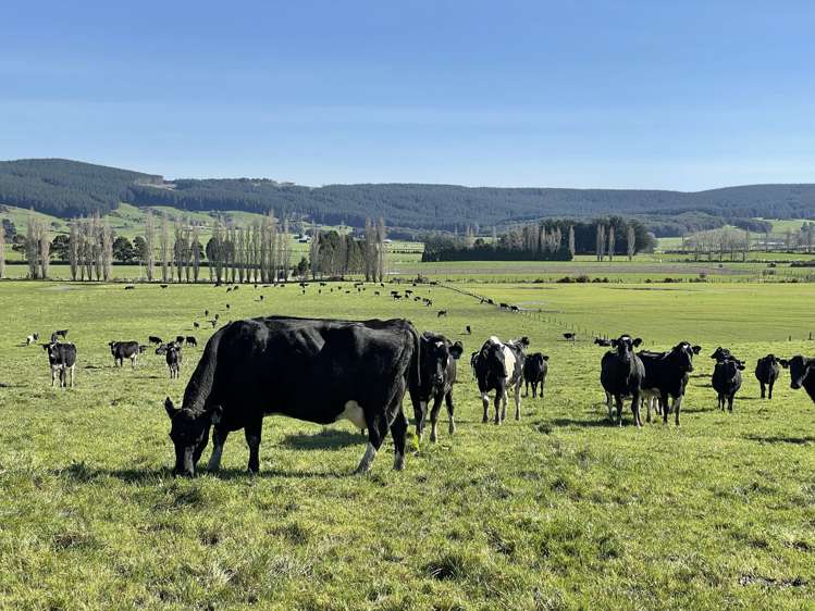 232 Lower Scotts Gap Road Otautau_3