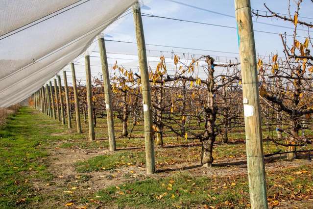 Smiths Way Mount Pisa_2