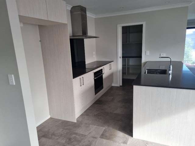 12 Harp Street Morrinsville_1