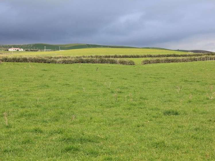 67 Pahia Round Hill Road Pahia_5