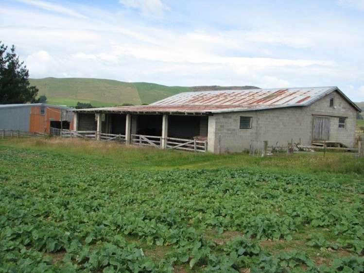 544 Owaka Valley Road Catlins Surrounds_6