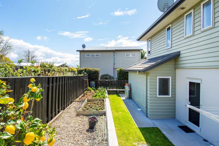 4 Tilby Drive Matua_19