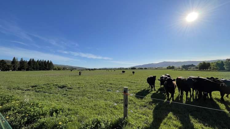 Ida Valley Road Oturehua_14