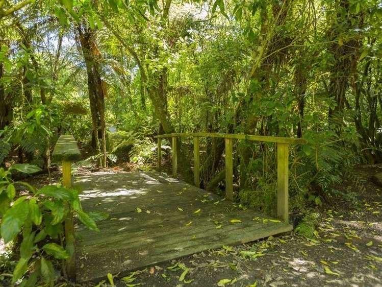 49 Blue Mountains Road Pinehaven_2