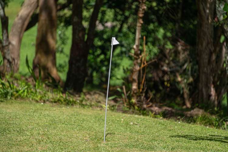 370 Fordyce Road Helensville_44