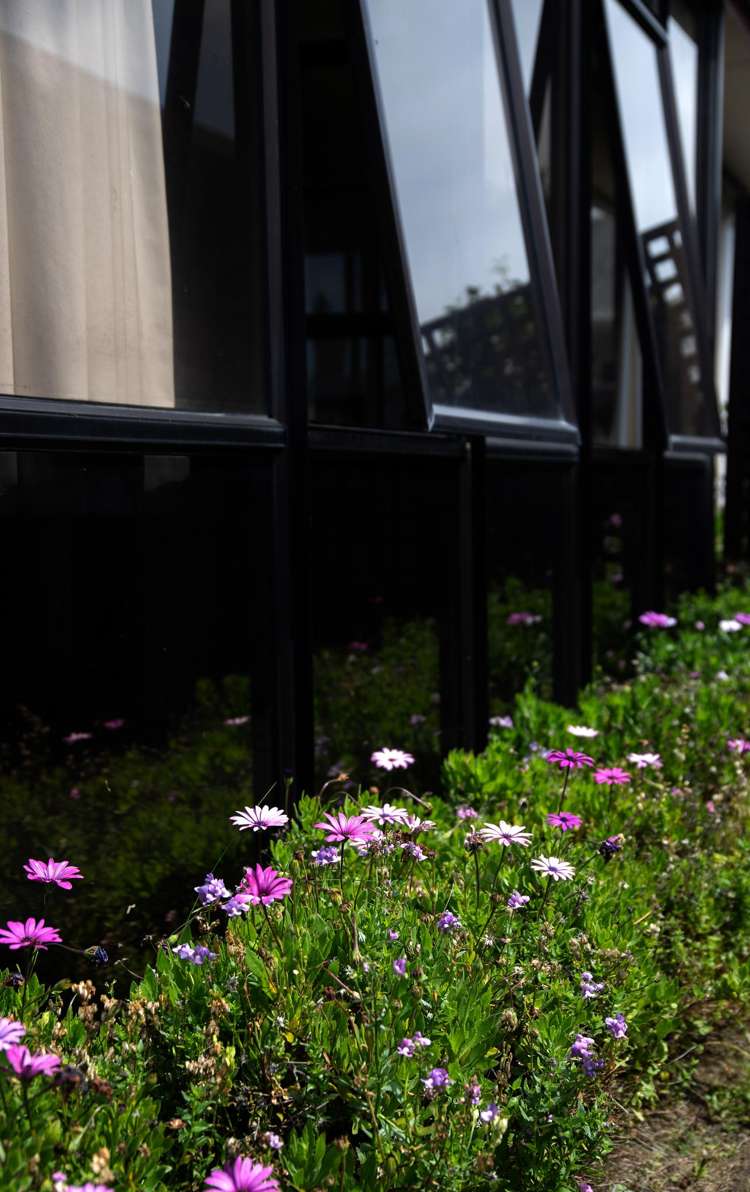 42 Wellington Street Hampstead_12