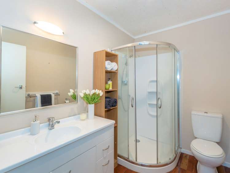 164 Nixon Street Hamilton East_13