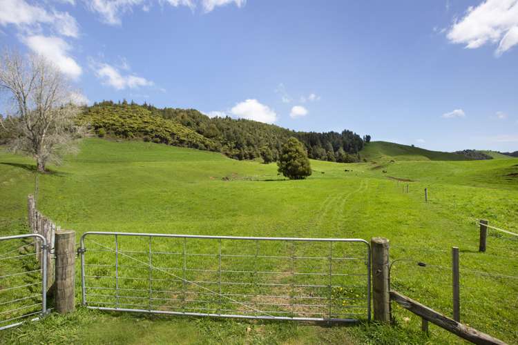 2140 State Highway 4 Aria_10