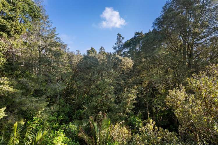 6/241 Hinemoa Street Birkenhead_13