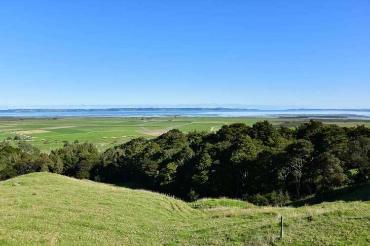3356 Kaipara Coast Highway Glorit_45