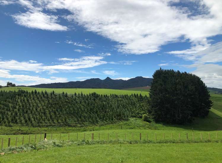 2364 Arapuni Road Pukeatua_15