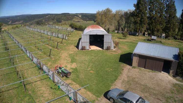 307 Campbell Road Pukehina_21