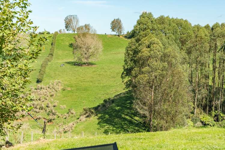233 Te Tahi Road Puketotara_23