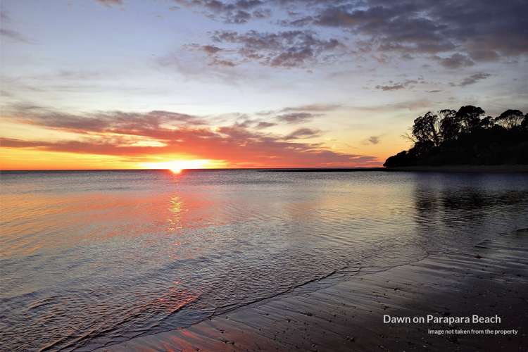 54 Parapara Beach Road Parapara_18