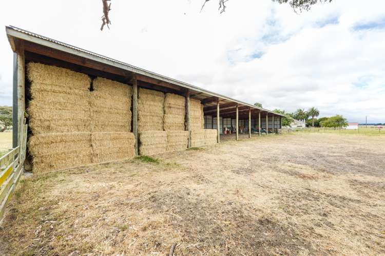 82 Bell Road West Halcombe_17