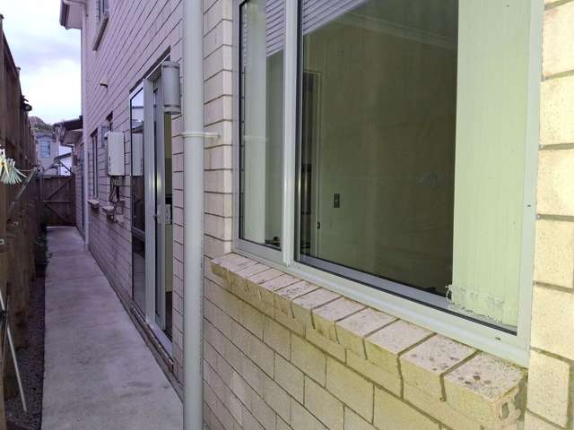 127 Thomas Road Flat Bush_4