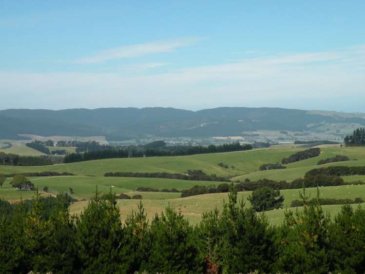 44 Fletts Road Milton_15