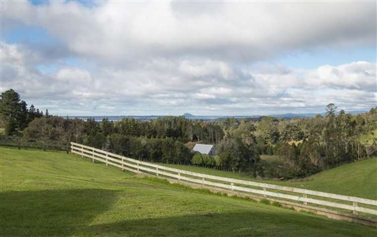 33a Tye Road Hauraki Surrounds_20