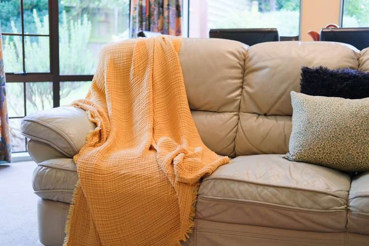 405 Saddle Hill Road Scroggs Hill_13