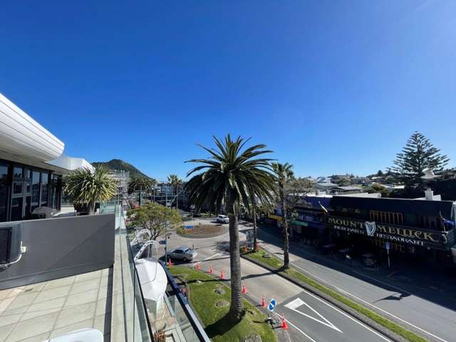 12/314 Maunganui Road 11229_2