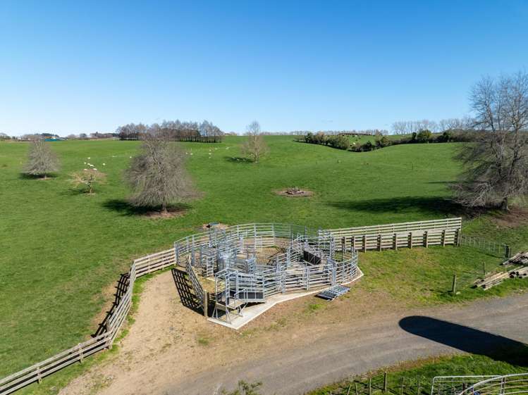 97 Herbert Road Morrinsville_6