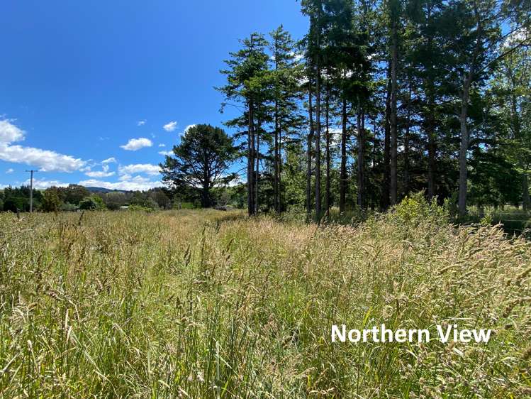 783 Chester Road Carterton_5