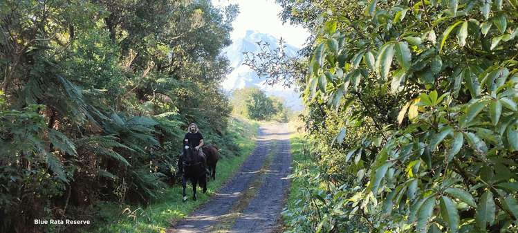 3095 Carrington Road Okato_16