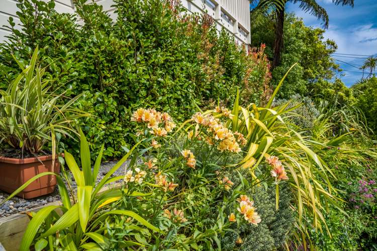 5 Emerson Street Berhampore_19