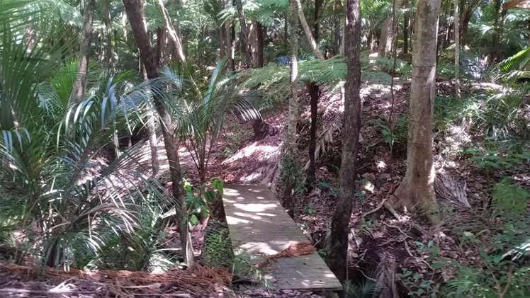 17 Waikarekare Lane Karekare_9