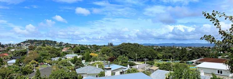 19 Wolseley Street Morningside_15